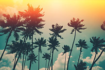 Obraz Silueta paliem 1762